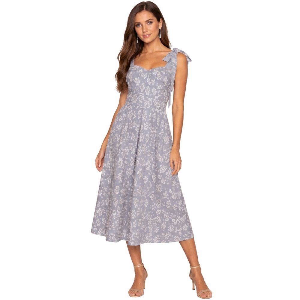 Lulus Daisy Sundress Blue White Floral Feminine Midi NWT Size: Medium